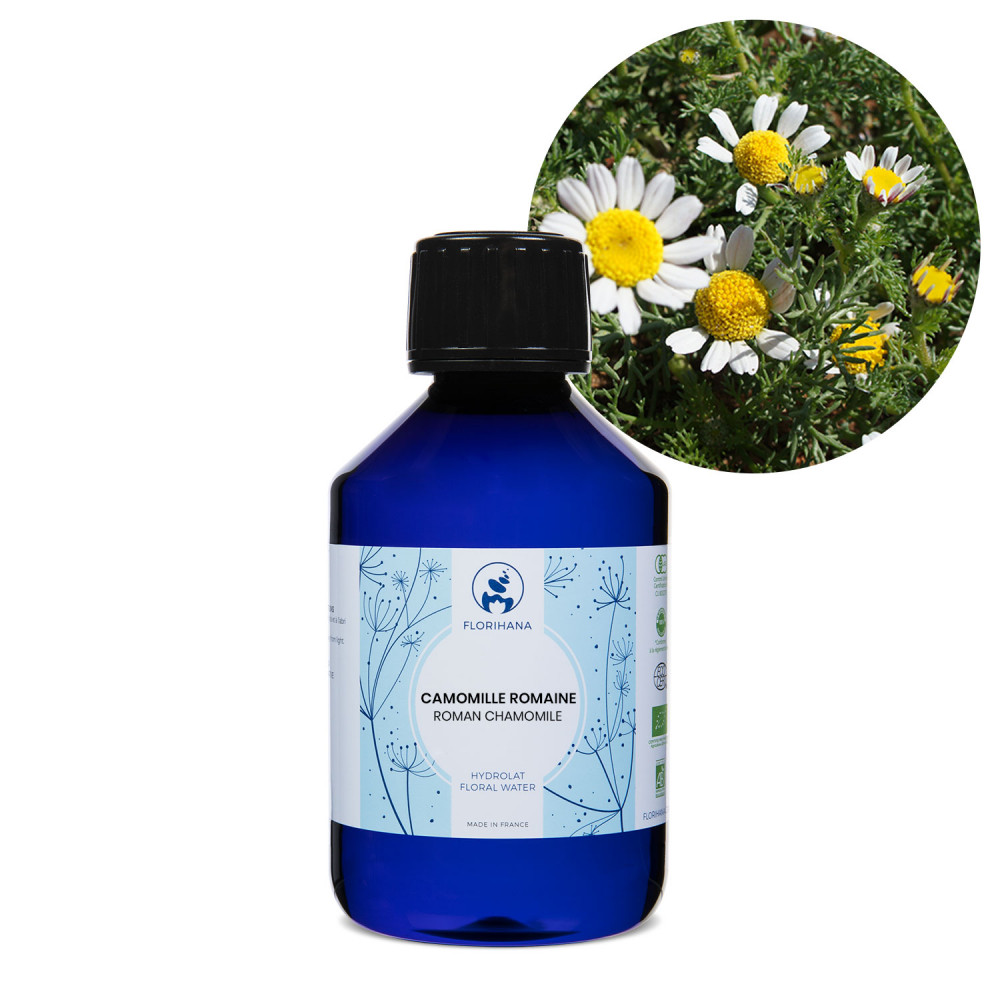 roman-chamomile-organic3