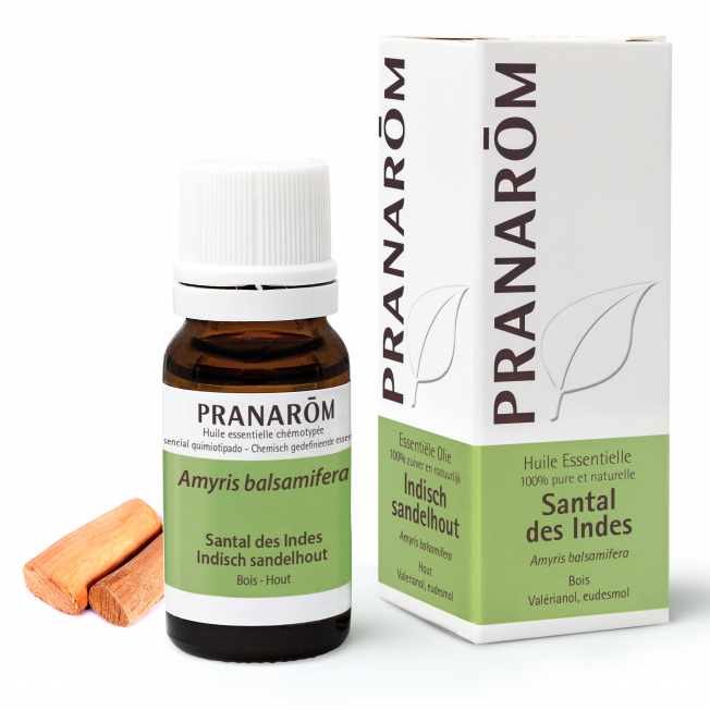 santal-des-indes Sandlipuu